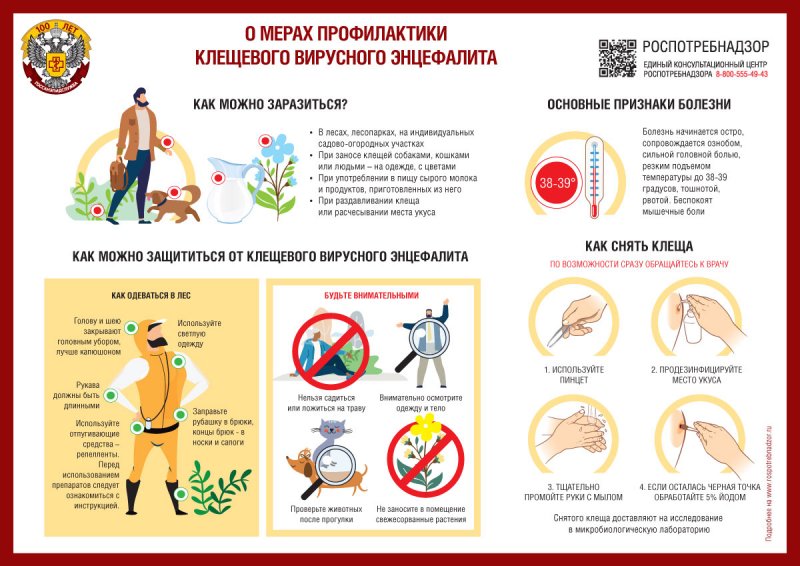 О мерах профилактики клещевого вирусного энцефалита