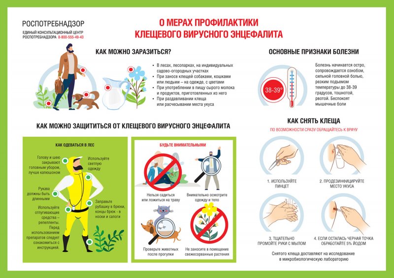 Как снять клеща