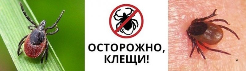 «Предупреждён — значит вооружён»
