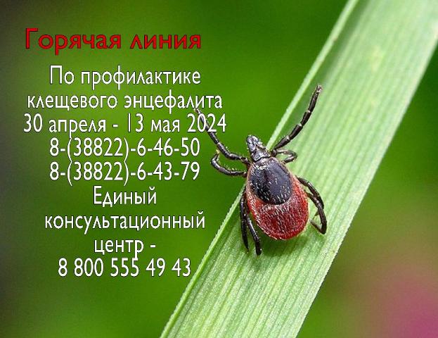 С 30 апреля 2024 года стартует Всероссийская "Горячая линия" по вопросам профилактике клещевого энцефалита