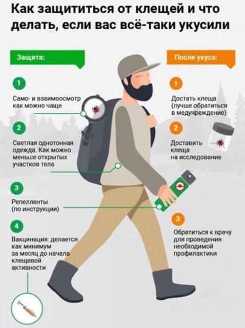 Собираясь в лес, помните о клещевой опасности!
