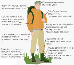 От укусов клещей в текущем сезоне пострадали уже 6 человек