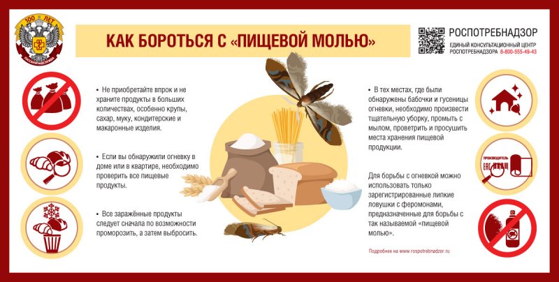 Рекомендации Роспотребнадзора: как защитить дом от «пищевой моли»