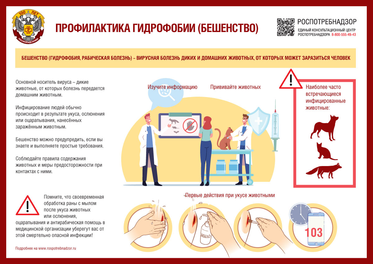 28 сентября 2022 года отмечается 16-й Всемирный день борьбы с бешенством.