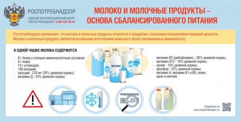 Рекомендации гражданам: молоко и молочные продукты — основа сбалансированного рациона