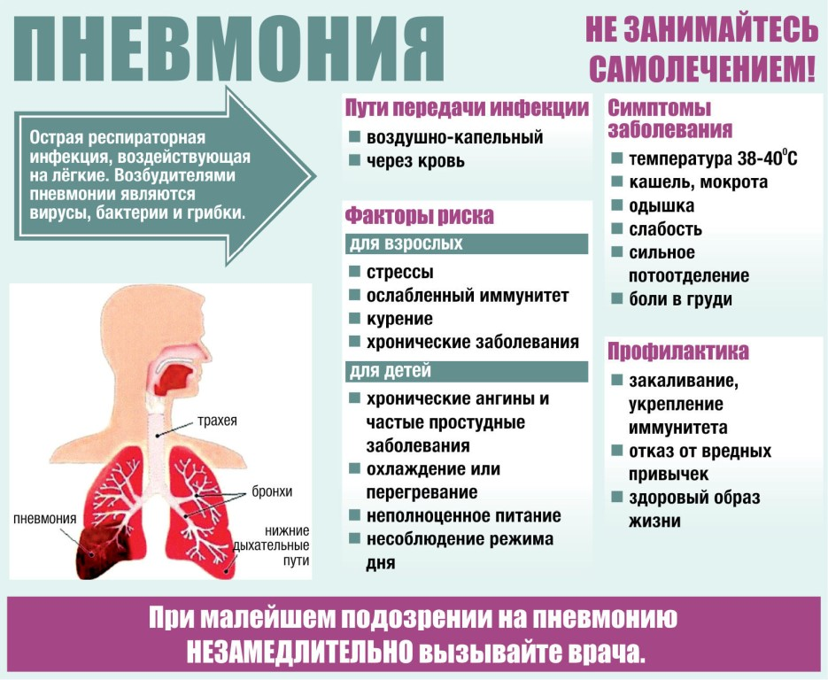 Всемирный день борьбы с пневмонией