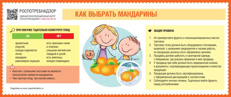 В преддверии новогодних праздников Роспотребнадзор рекомендует, как выбрать самые «праздничные» фрукты – мандарины.