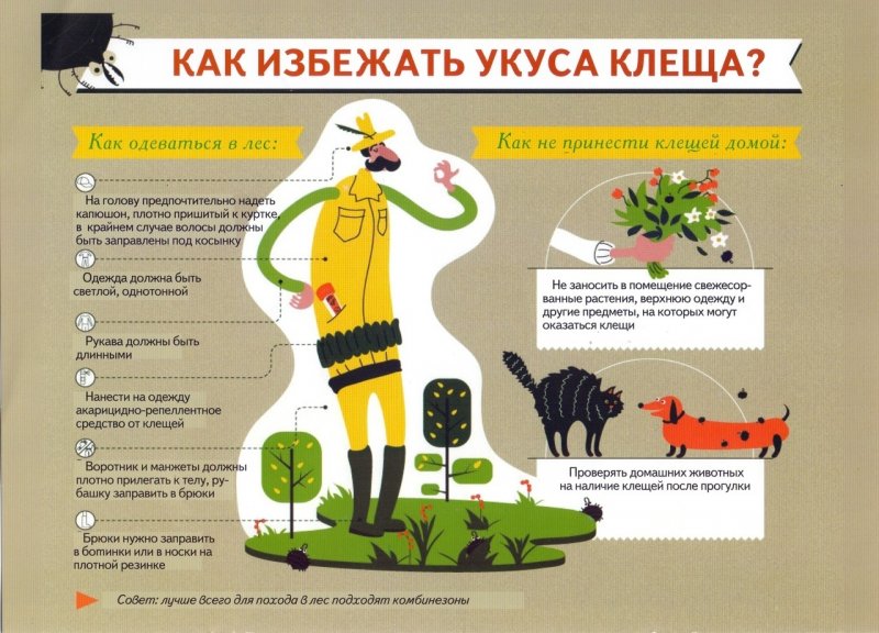 69 человек уже пострадали от присасывания клещей